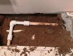 宿松测漏水哪家好