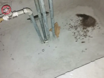 宿松卫生间测漏水价格明细